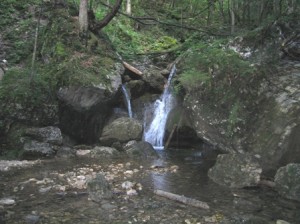dober spanec brez zbujanj ne morem zaspati, pogosto zbujanje ponoči, vzrok